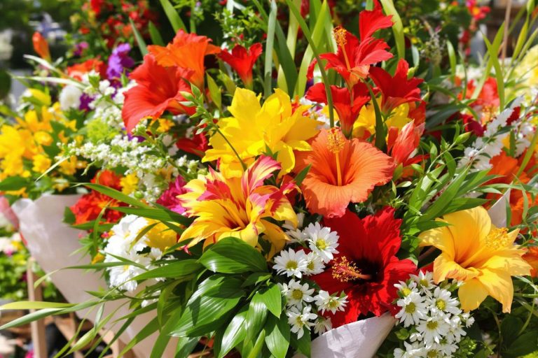 Livraison de fleurs et fleuristes à Nouméa, Nouvelle-Calédonie.jpg